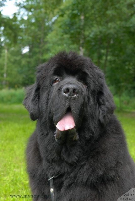 Фотография № 102848