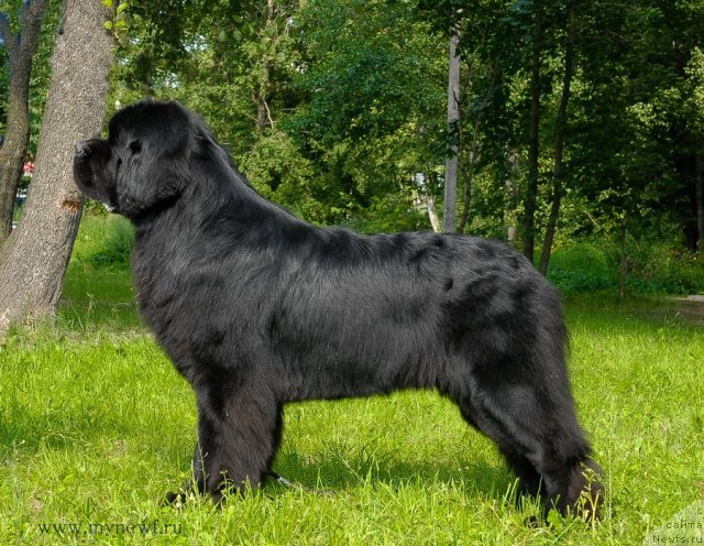 Фотография № 102877