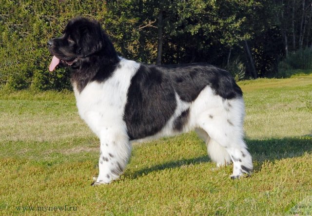 Фотография № 102889