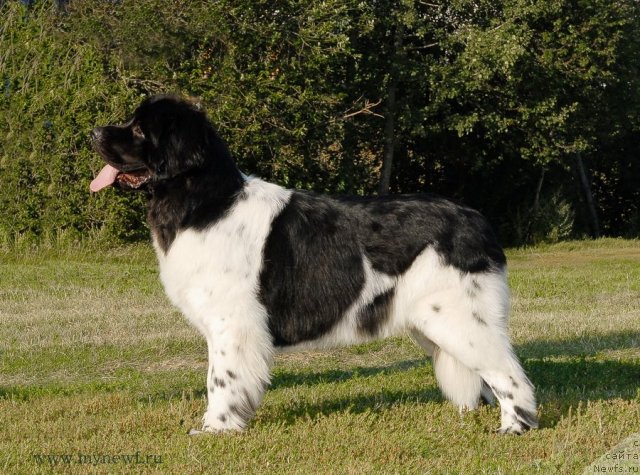 Фотография № 102891