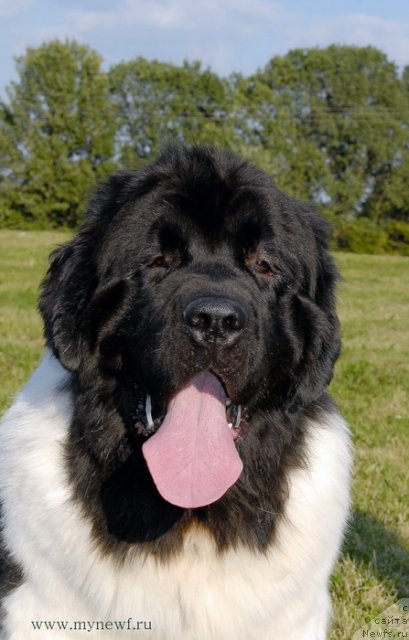 Фотография № 102894