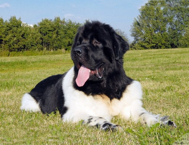 Фотография № 102896