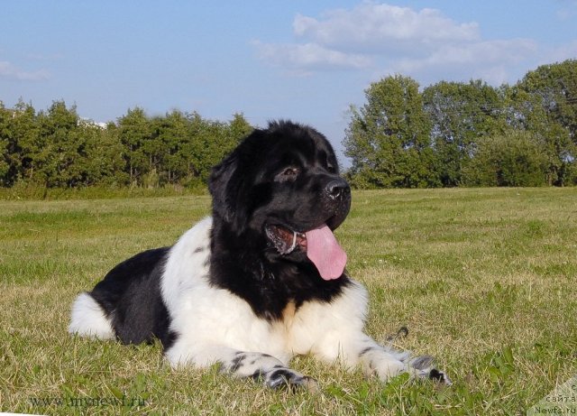 Фотография № 102897