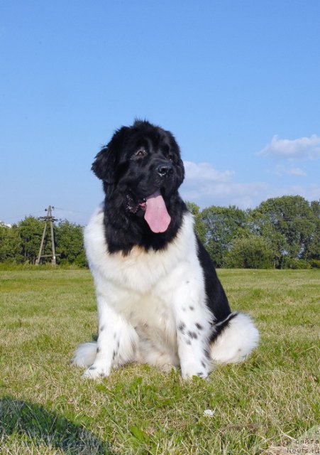 Фотография № 102898