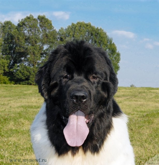 Фотография № 102900