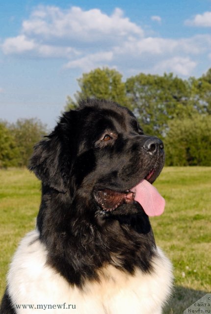 Фотография № 102901