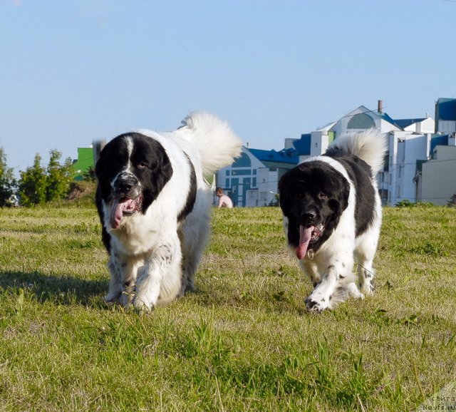 Фотография № 102903