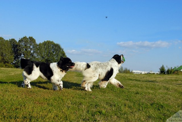 Фотография № 102906