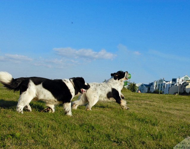 Фотография № 102908