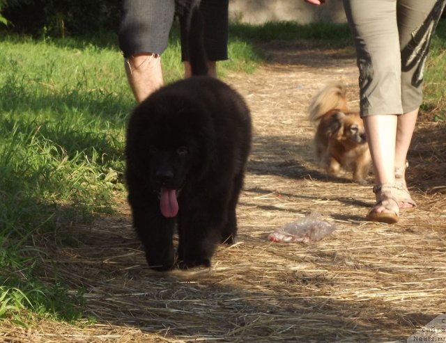 Фотография № 102915