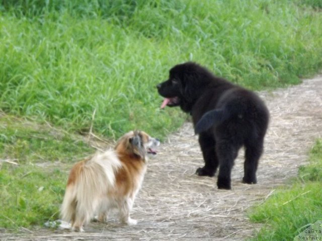 Фотография № 102918