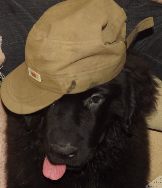 Фотография № 102921