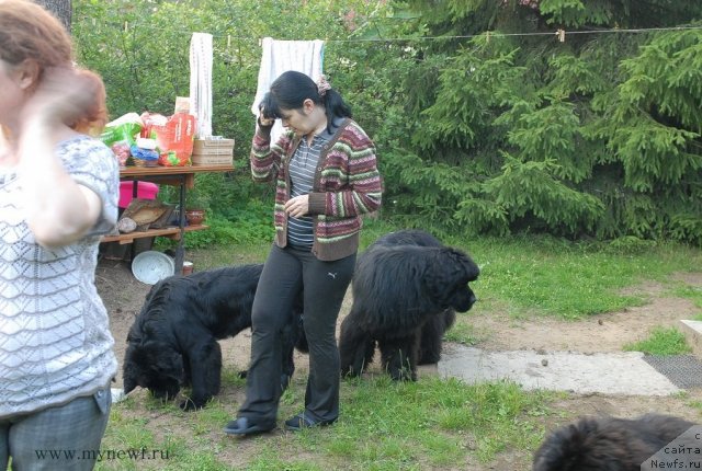 Фотография № 102926