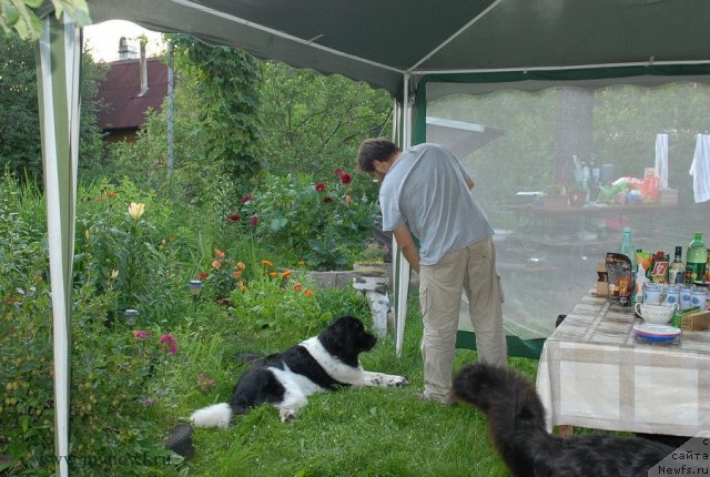 Фотография № 102927