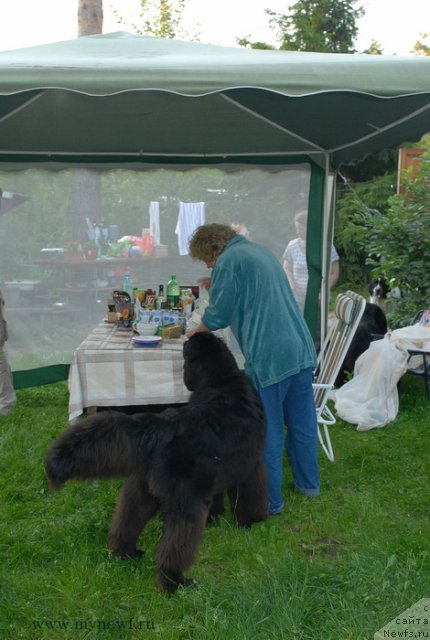 Фотография № 102928