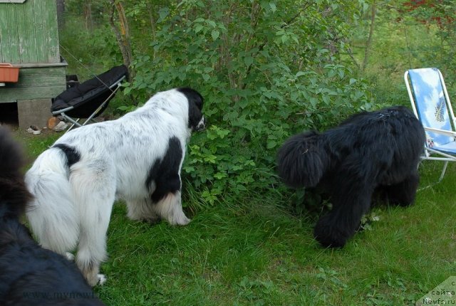 Фотография № 102929