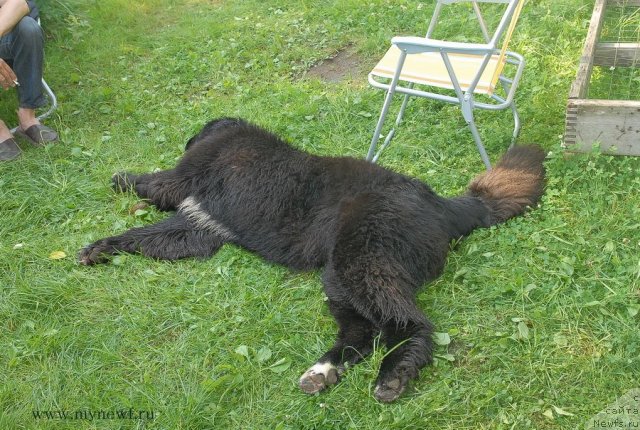 Фотография № 102935