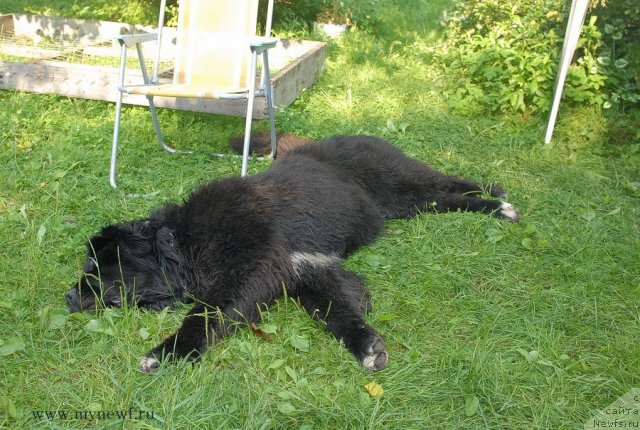 Фотография № 102936