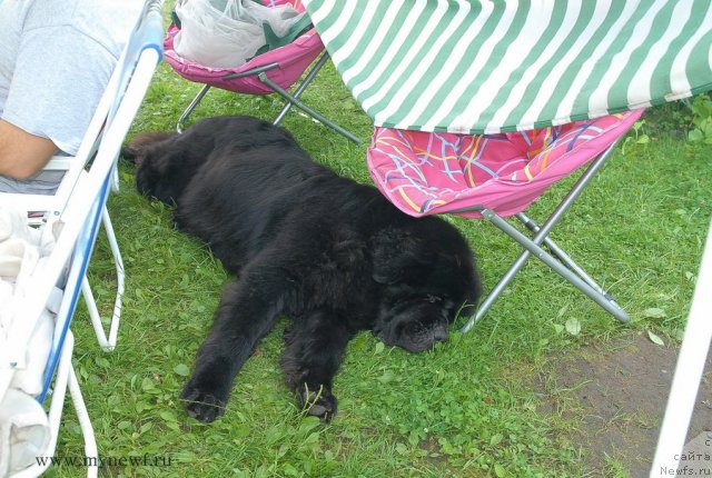 Фотография № 102938