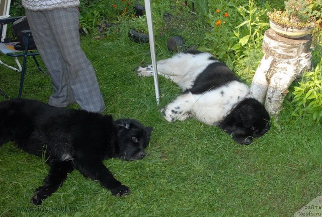 Фотография № 102939