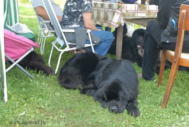 Фотография № 102940