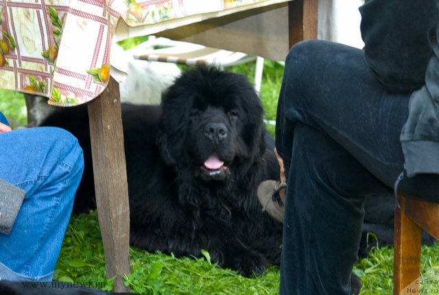 Фотография № 102941