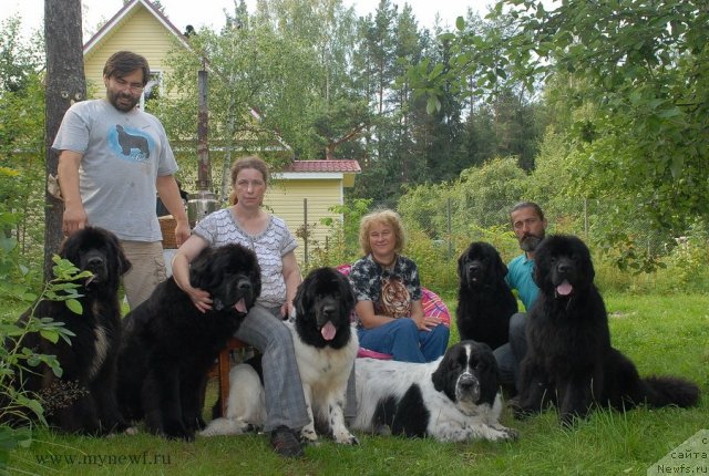 Фотография № 102942