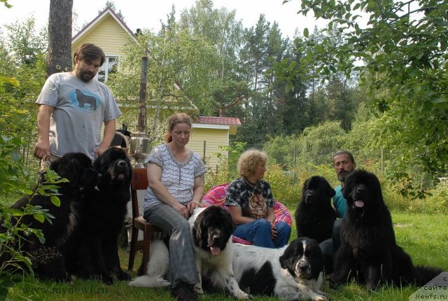 Фотография № 102943