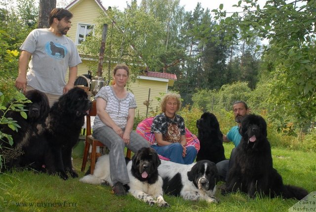 Фотография № 102944