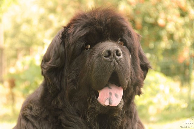 Фотография № 102967