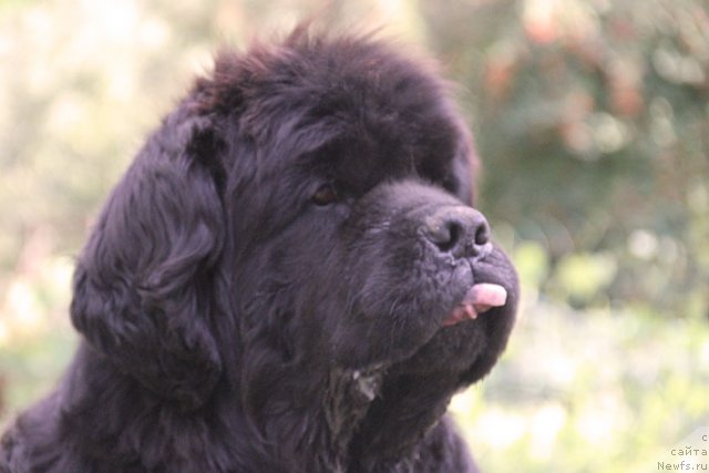 Фотография № 102970