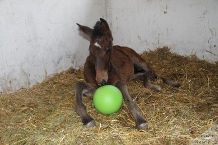 Фотография № 102972