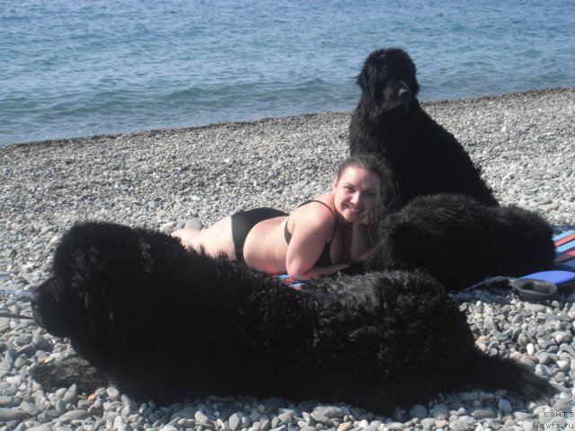 Фотография № 102983