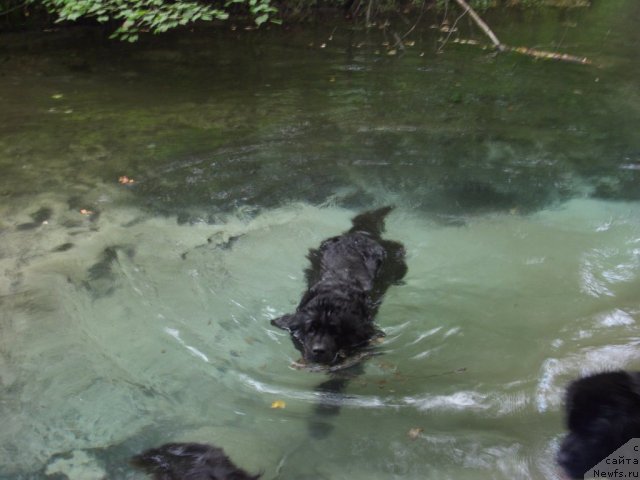 Фотография № 102984