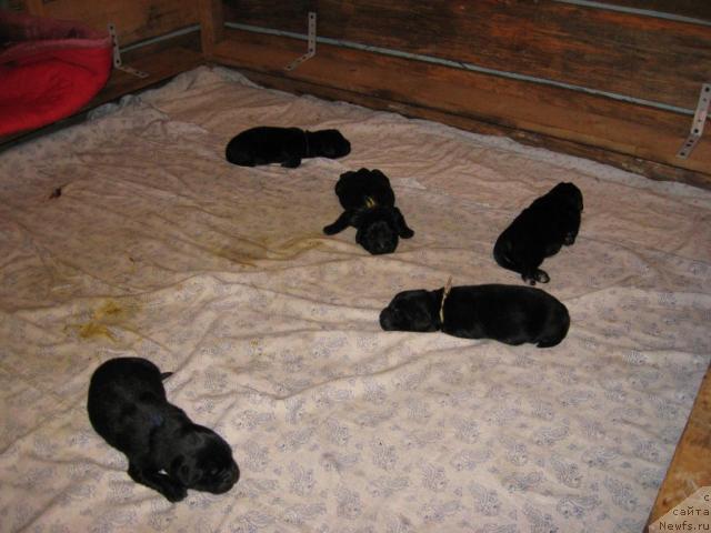 Фото: Kseniya Dudina (Ксения Дудина)