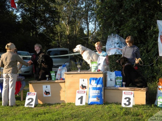 Фотография № 103014