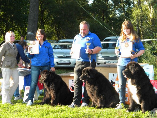 Фотография № 103016