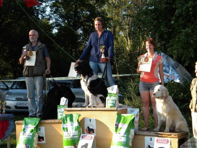 Фотография № 103018