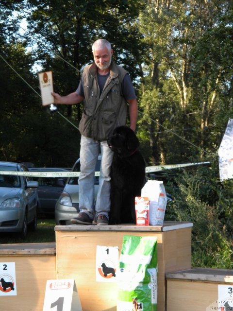 Фотография № 103020