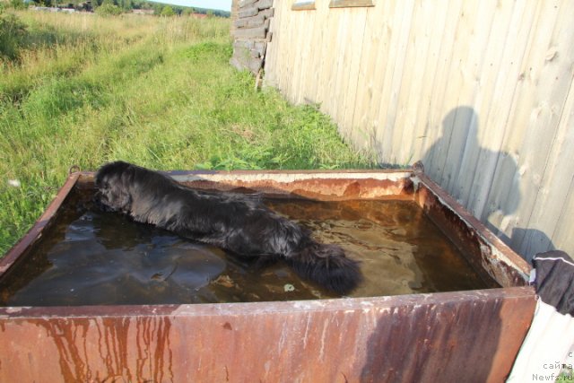 Фотография № 103056