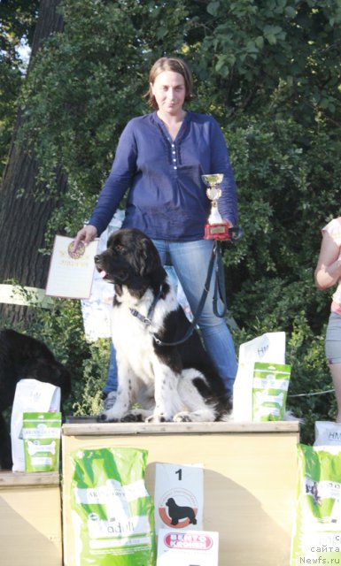 Фотография № 103066