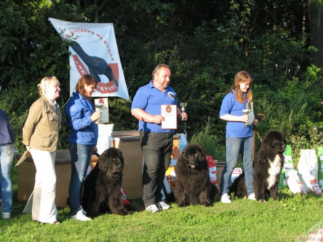 Фото: [d5940] [d5950] [d392]