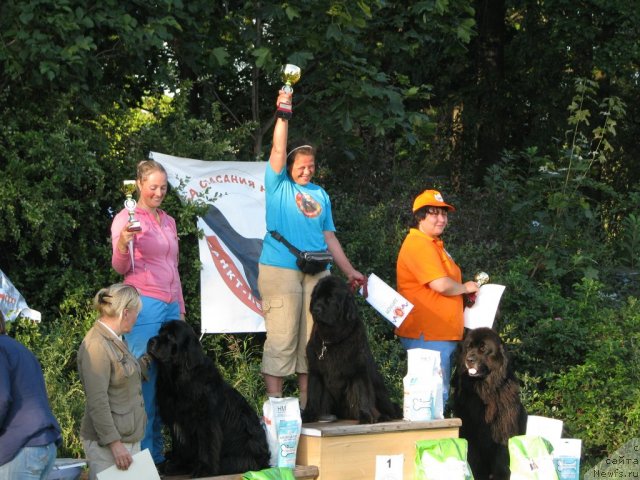 Фото: [d5955] [d9828] [d5459]