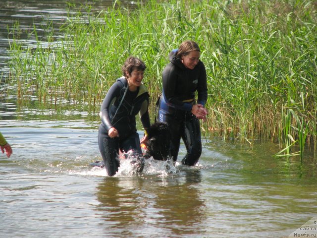 Фотография № 103073