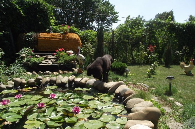 Фотография № 103113