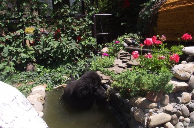 Фотография № 103114