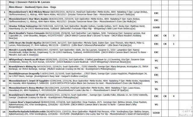 Фотография № 103115