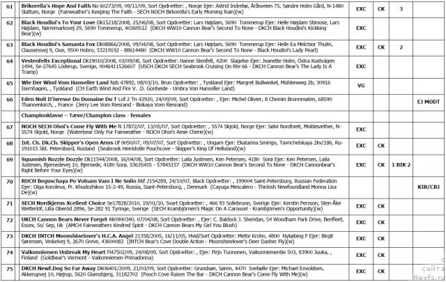 Фотография № 103119