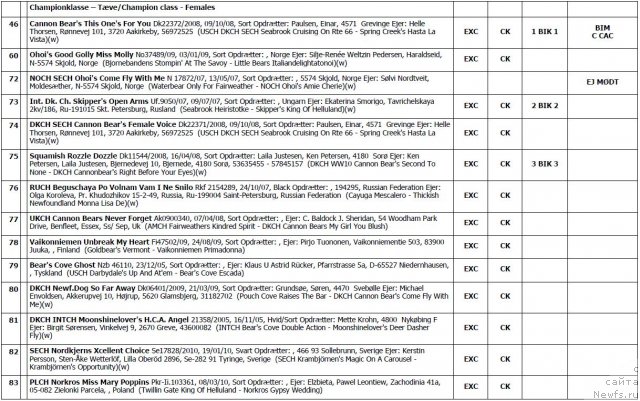 Фотография № 103131