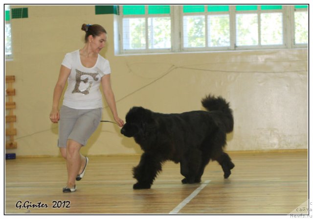 Фотография № 103147